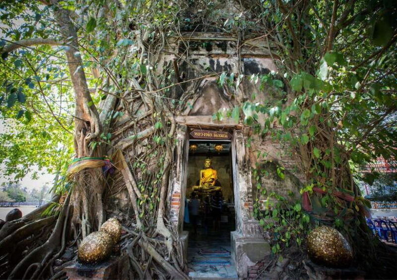 from-bangkok-taste-and-tune-of-samut-songkhram-private-tour