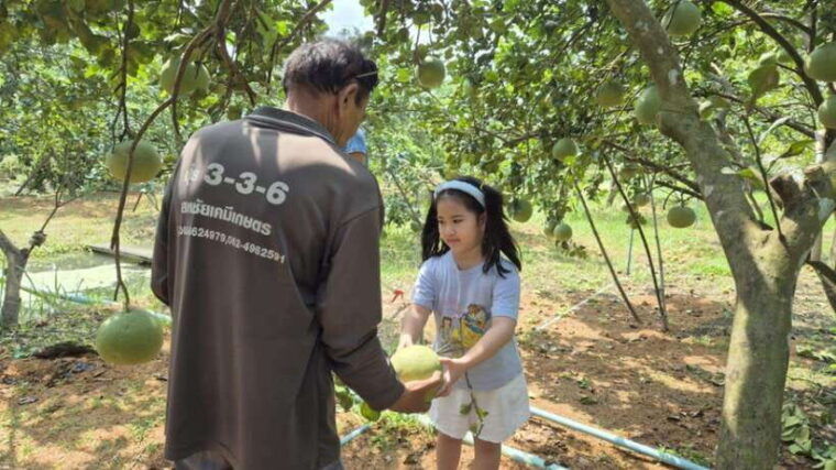 from-bangkok-taste-and-tune-of-samut-songkhram-private-tour