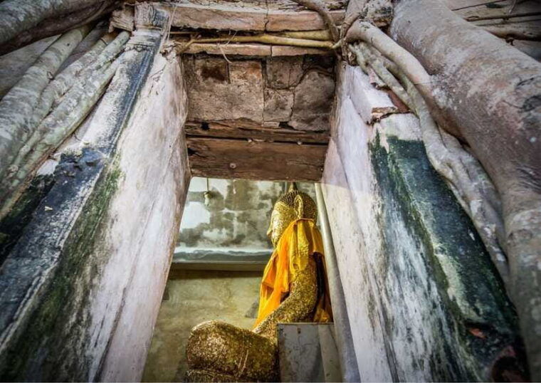 from-bangkok-taste-and-tune-of-samut-songkhram-private-tour