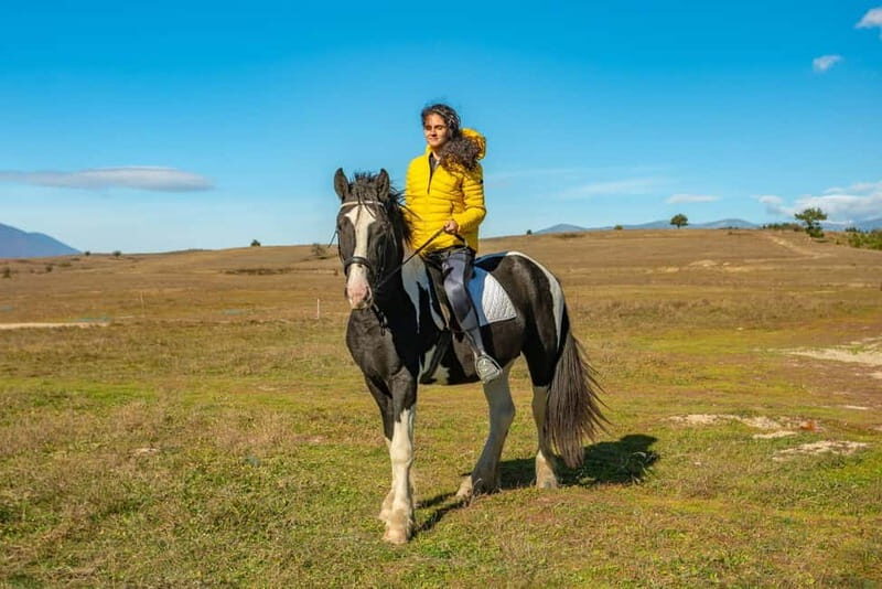 From Bansko: Horse Riding Experience - An In-Depth Look at the Horse Riding Tour
