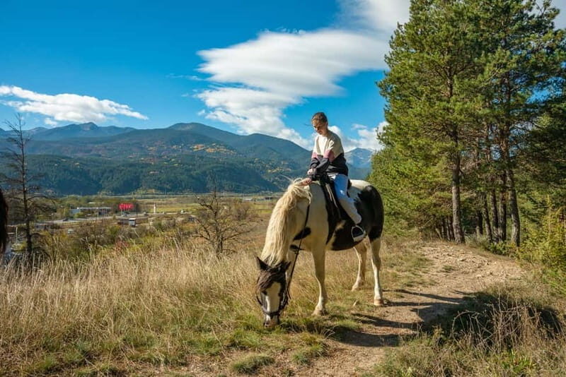 From Bansko: Horse Riding Experience - Final Thoughts: Is It Worth It?