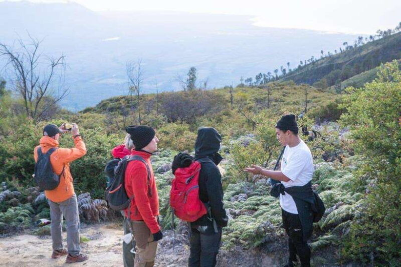 from-banyuwangi-day-trip-to-ijen-volcano-with-guided-trek