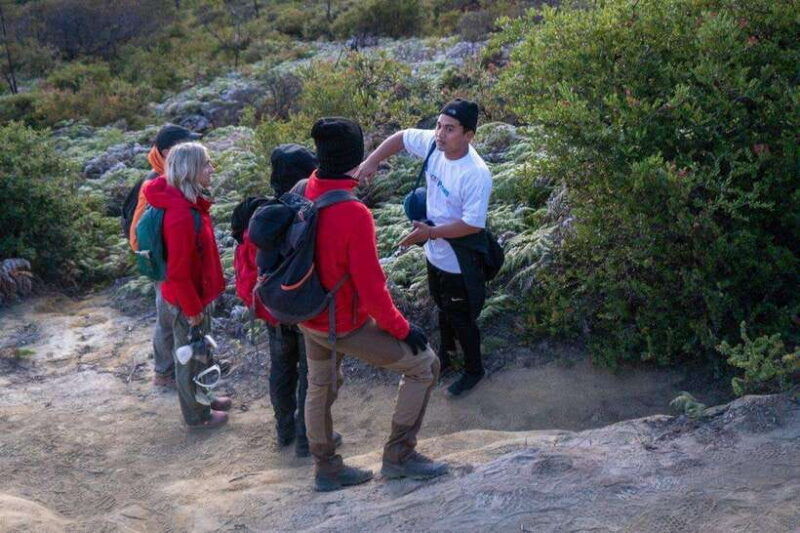 from-banyuwangi-day-trip-to-ijen-volcano-with-guided-trek