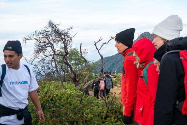 from-banyuwangi-day-trip-to-ijen-volcano-with-guided-trek