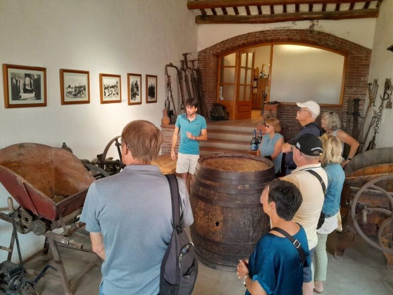 from-barcelona-3-wineries-with-hotel-pick-up-and-lunch