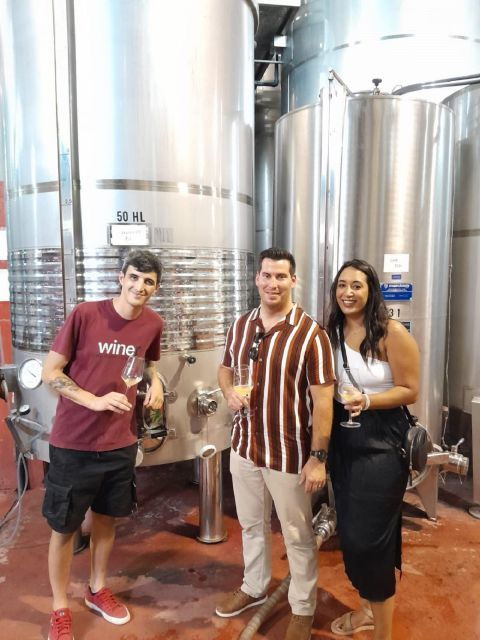 from-barcelona-3-wineries-with-hotel-pick-up-and-lunch