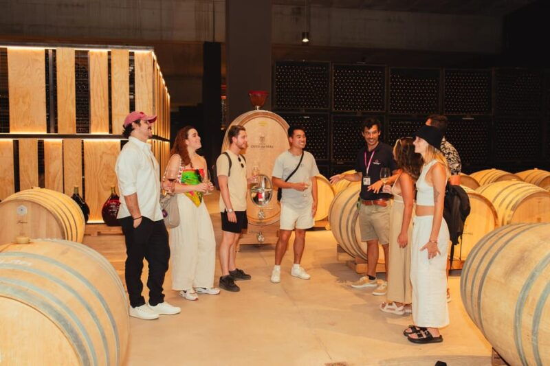 from-barcelona-full-day-montserrat-wine-small-group-tour