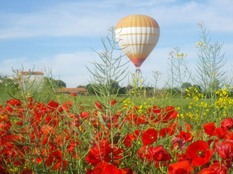 from-barcelona-half-day-hot-air-balloon-flight-ticket