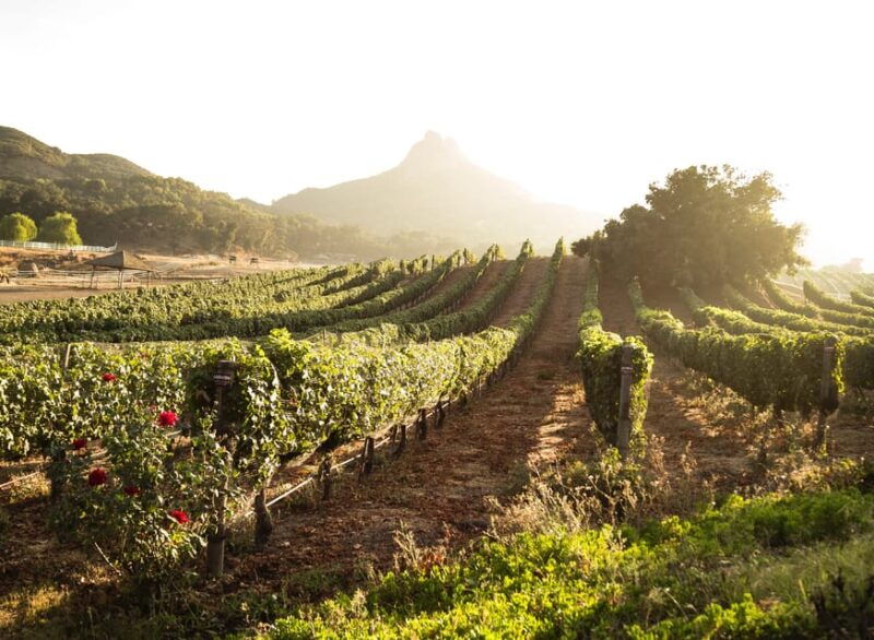 from-barcelona-half-day-trip-to-montserrat-mountain