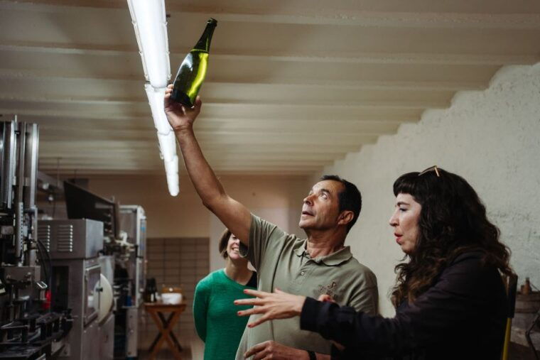 from-barcelona-montserrat-cava-winery-day-trip