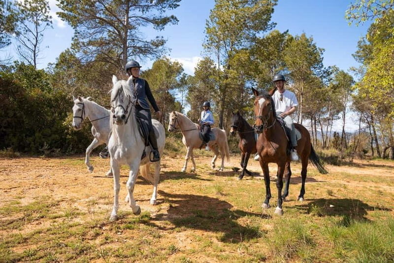 From Barcelona: Montserrat Walking and Horseback Riding Tour - Who Is This Tour Best Suited For?