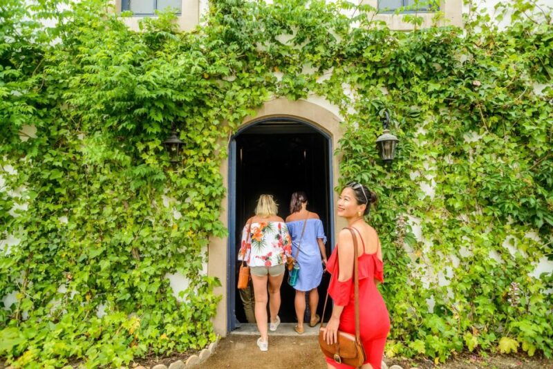 from-barcelona-penedes-vineyards-tour-by-4wd-w-wine-cava