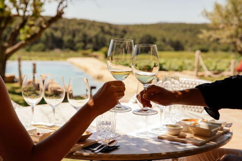 From Barcelona Premium Wine Tasting at Boutique Winery +Food - Detailed Itinerary Breakdown