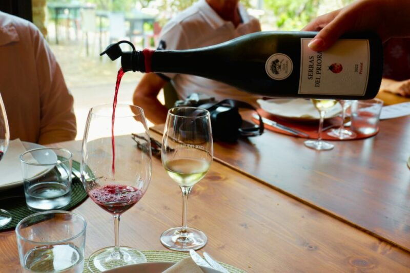 from-barcelona-priorats-exclusive-cellars-wines-nature