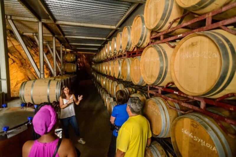 from-barcelona-private-alella-wine-tour-by-electric-bike