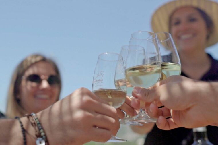 from-barcelona-private-alella-wine-tour-by-electric-bike