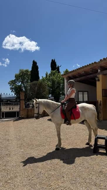 From Barcelona: PRIVATE Horseback Ride + Tapas + Picnic - Frequently Asked Questions  