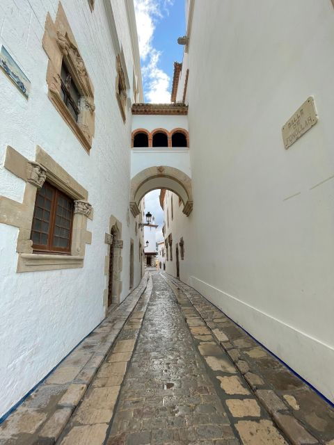 from-barcelona-private-sitges-ultimate-paella-experience