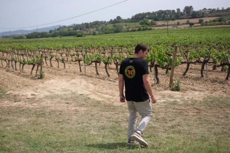 from-barcelona-pvt-penedes-wine-cava-tastings-with-lunch