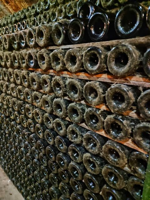 from-barcelona-pvt-penedes-wine-cava-tastings-with-lunch