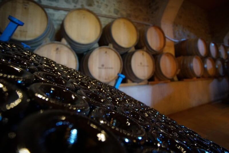 from-barcelona-sailing-and-wine-tasting-experience