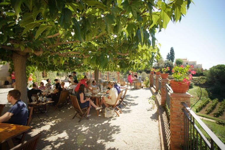 from-barcelona-sailing-and-wine-tasting-experience