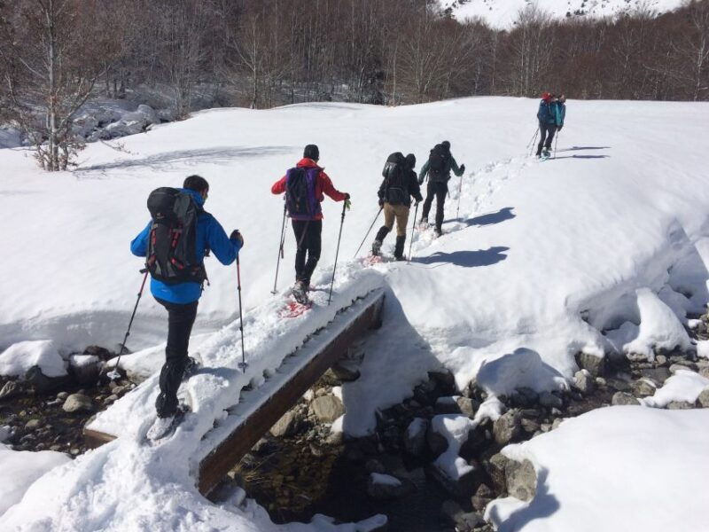 from-barcelona-snowshoeing-in-the-pyrenees