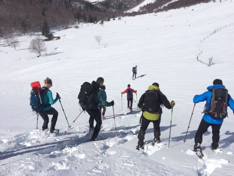 from-barcelona-snowshoeing-in-the-pyrenees