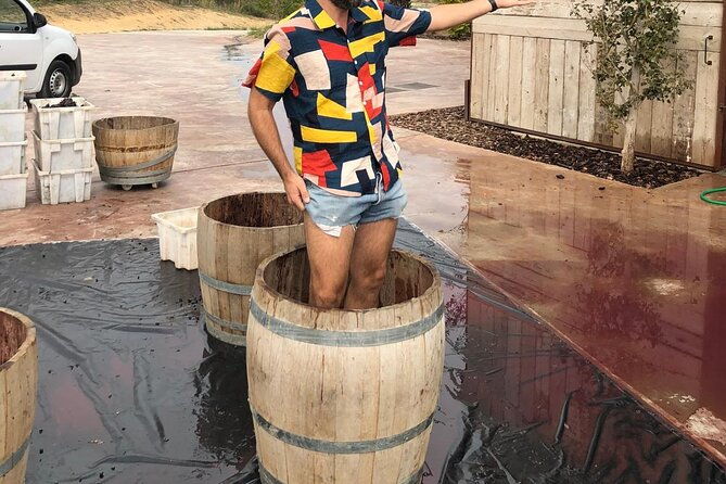 from-barcelona-wine-tasting-in-2-priorat-wineries-and-food