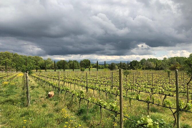 from-barcelona-wine-tasting-in-2-priorat-wineries-and-food