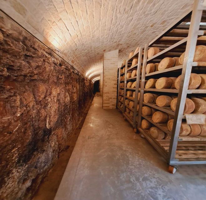 from-bari-burrata-cheese-experience-in-a-local-dairy-farm