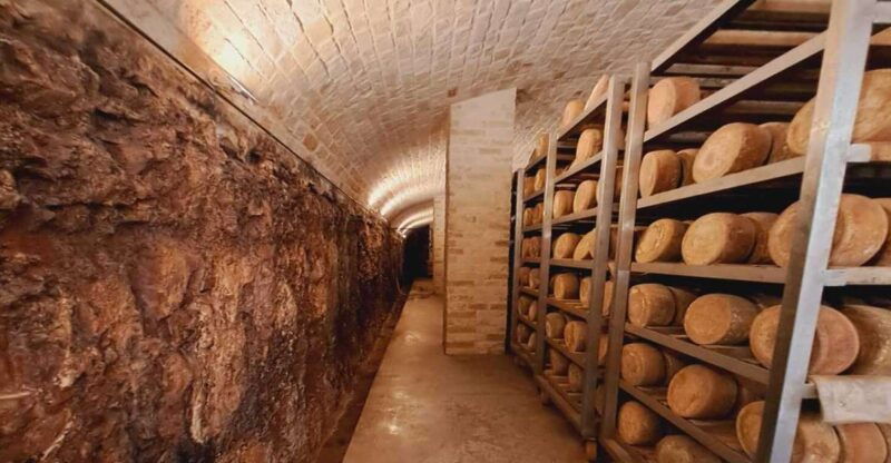 from-bari-burrata-cheese-experience-in-a-local-dairy-farm