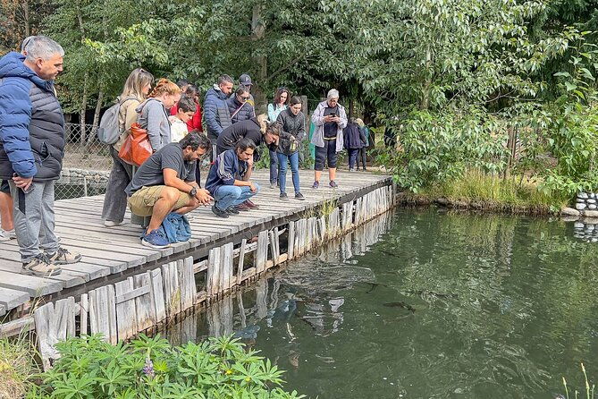 from-bariloche-discover-el-bolson-and-lago-puelo