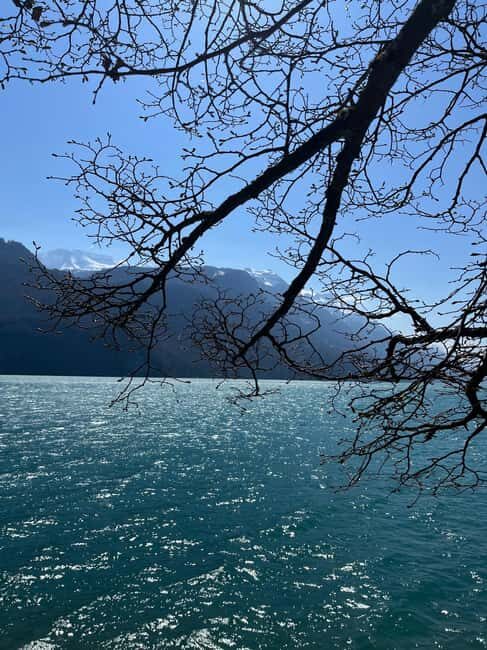 From Basel: Alps, Waterfalls and Lakes Private Car Tour - Who Is This Tour Best For?