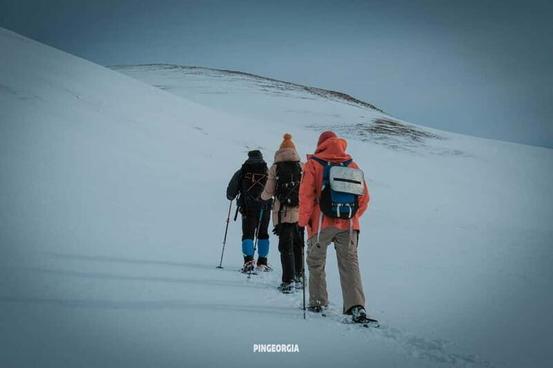 From Batumi: Snowshoe hiking ski resort Goderdzi - Ajara - FAQ: Your Questions Answered  