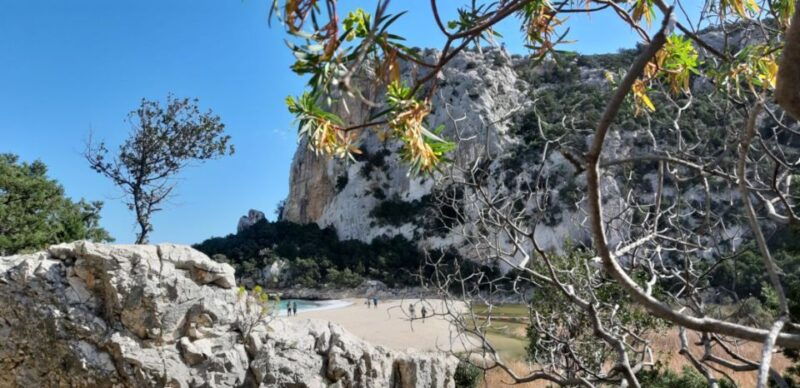 from-baunei-cala-luna-and-dorgali-full-day-guided-trek