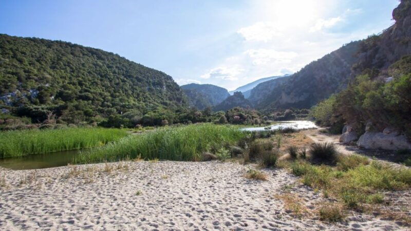 from-baunei-cala-luna-and-dorgali-full-day-guided-trek