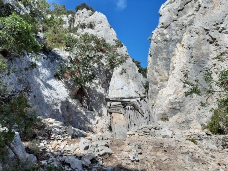 from-baunei-cala-mariolu-hiking-tour