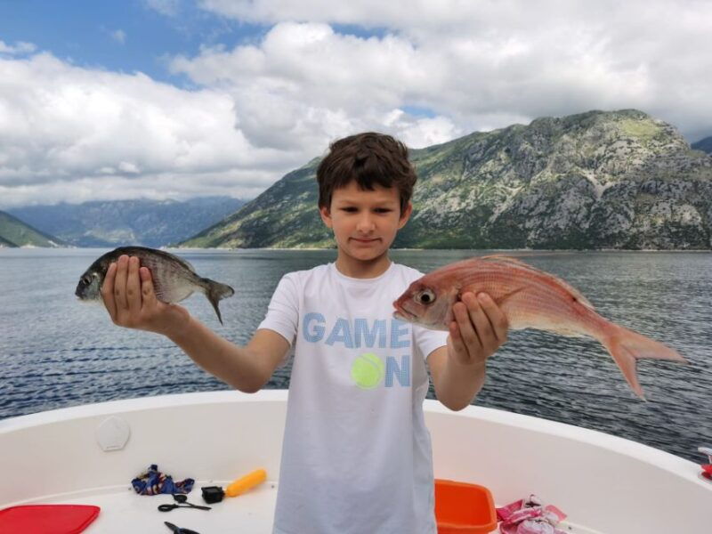 from-bay-of-kotor-blue-cave-private-speedboat-tour
