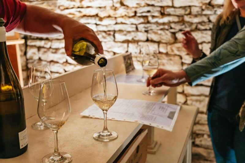 from-beaune-burgundy-day-trip-with-14-wine-tastings