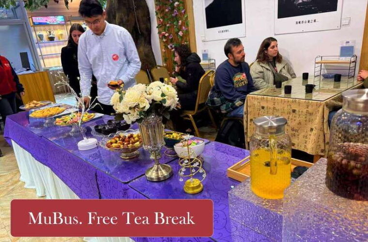 from-beijing-mutianyu-great-wall-tours-with-options