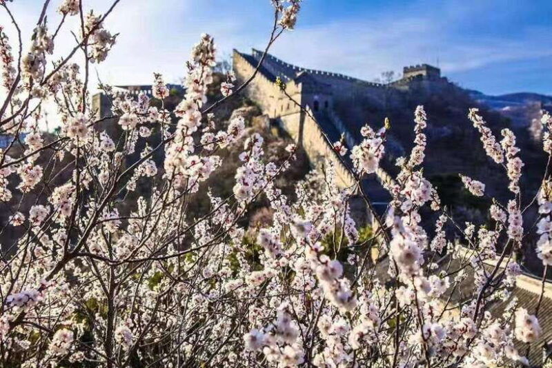 from-beijingmutianyu-great-wall-bus-tour-8am-9am-10am