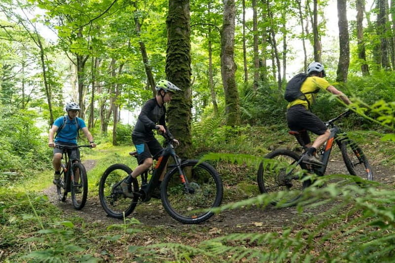 From Belfast: Mountain Bike Experience - A Detailed Look at the Trail Experience