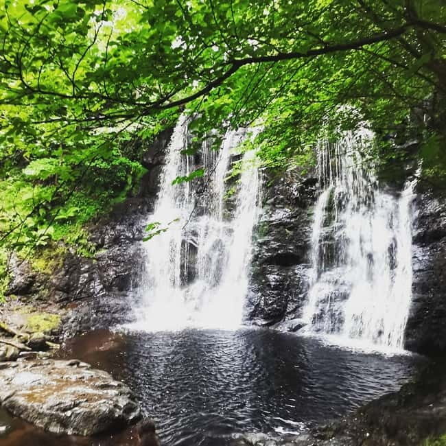 From Belfast: Private Tour of the Glens & Giants Causeway - Introduction: Why This Tour Stands Out