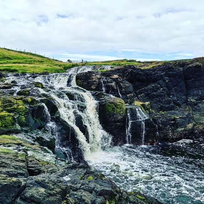From Belfast: Private Tour of the Glens & Giants Causeway - Why This Tour Offers Great Value