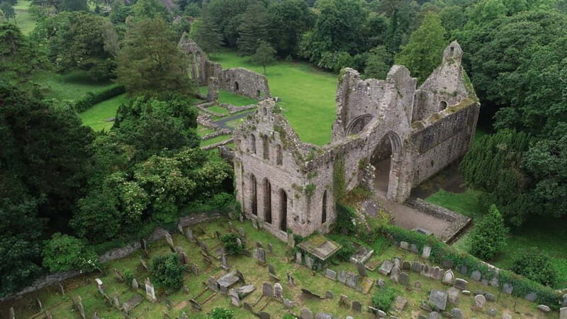 From Belfast: Strangford Lough Kings and Queens Tour - A Complete Breakdown of the Experience