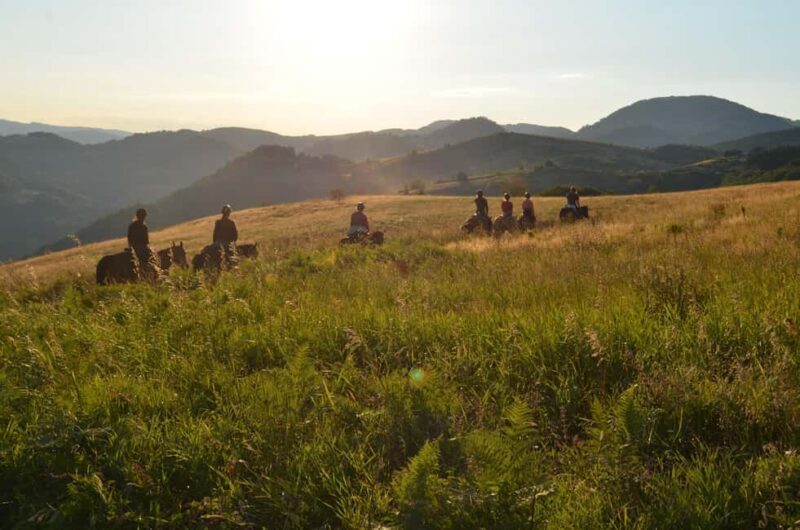 From Belgrade: 6-Day umadija Trail Horseback Riding Tour - What’s Included and What’s Not