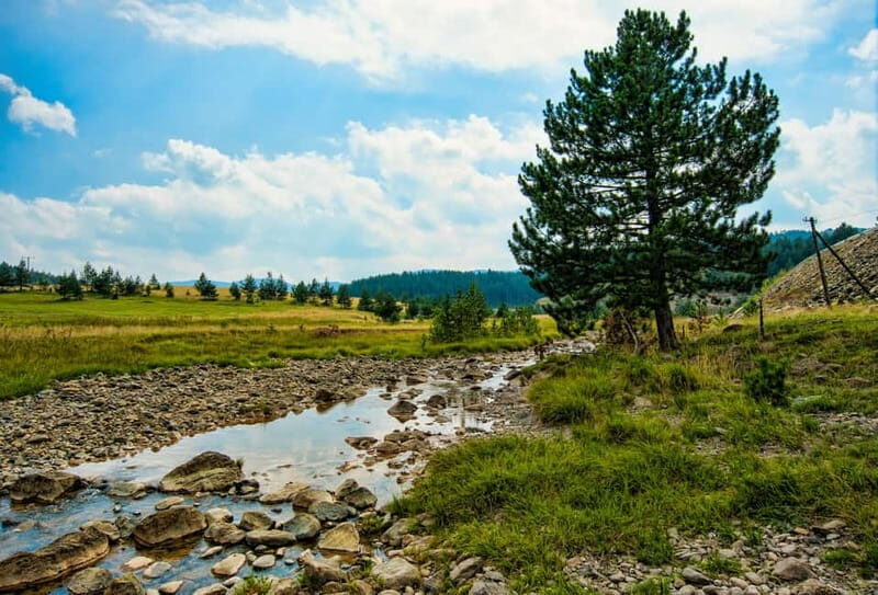 From Belgrade: Full-Day Guided Tour of Zlatibor Mountain - Who Will Love This Tour?