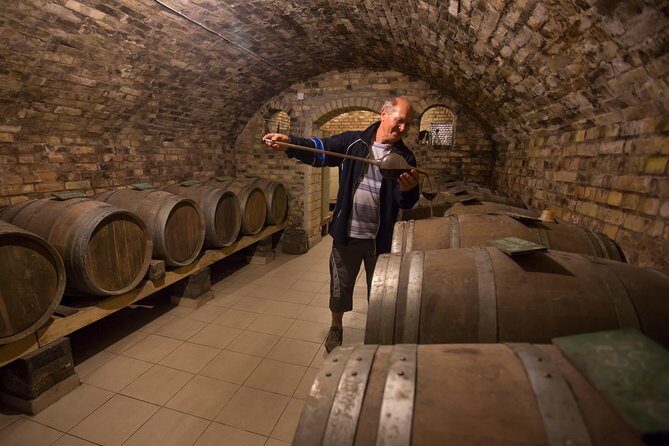 From Belgrade: Novi Sad and Sremski Karlovci Tour - FAQ