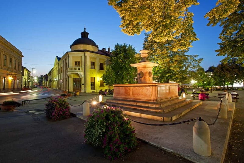 From Belgrade: Novi Sad and Sremski Karlovci Tour - Sremski Karlovci: The Baroque Gem with a Taste of History